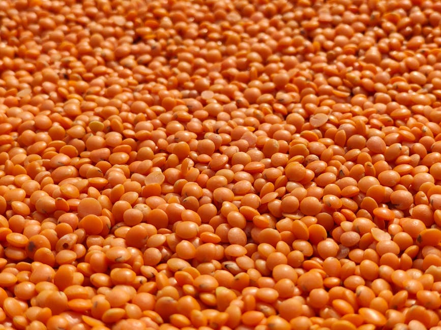 Lentil Shepherd's Pie